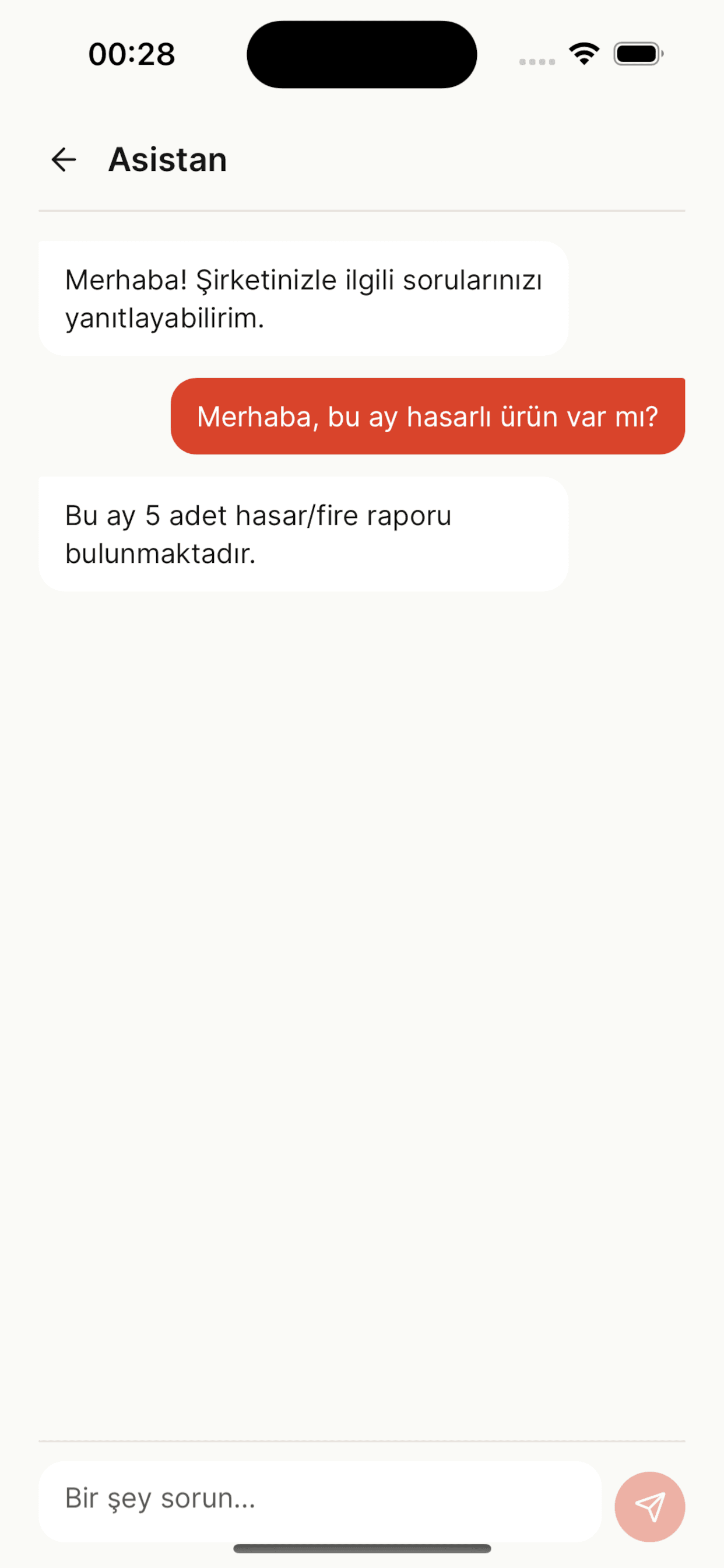 Asistan — yapay zeka destekli stok sorgusu